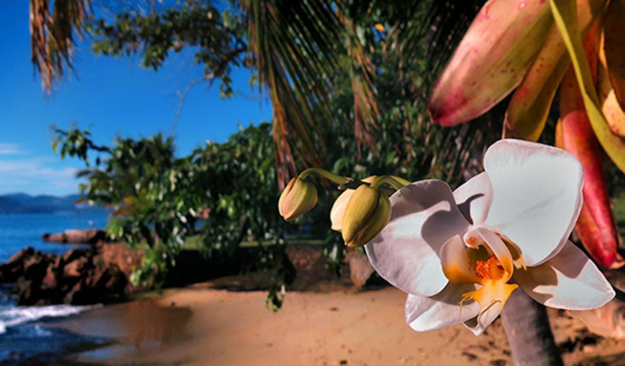 Paraty Marin Villa Eksteriør billede